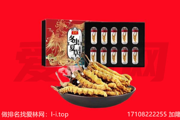 白城回收虫草.jpg